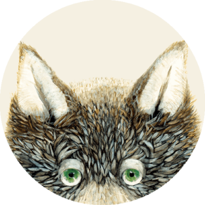 저는 늑대입니다만