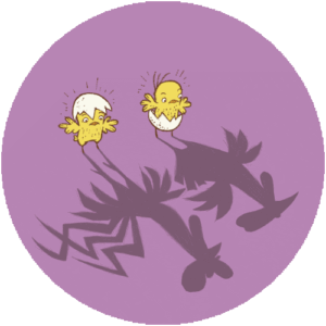 어느 쪽이 암탉이야?